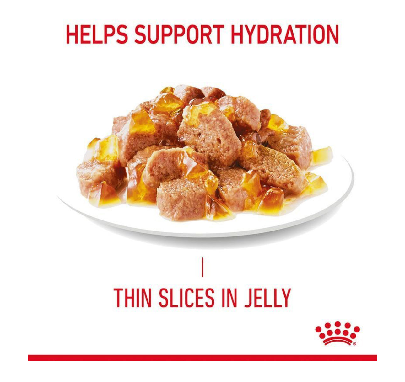 Royal Canin Hair & Skin in Jelly (85 gm\Pouch) - Wet food for Cats