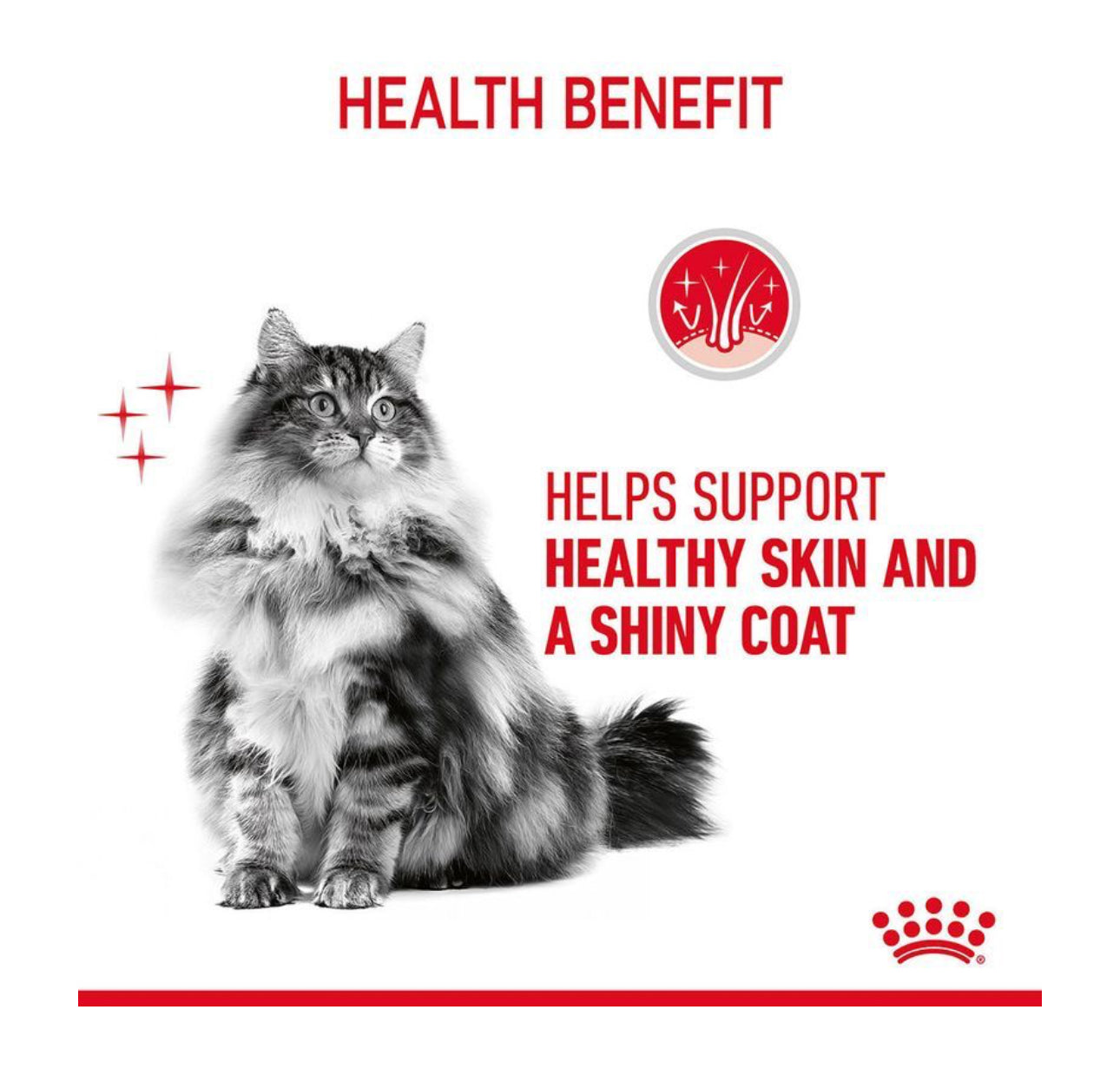 Royal Canin Hair & Skin Care in Gravy Wet Cat Food – 85 g Pouch (Skin & Coat)