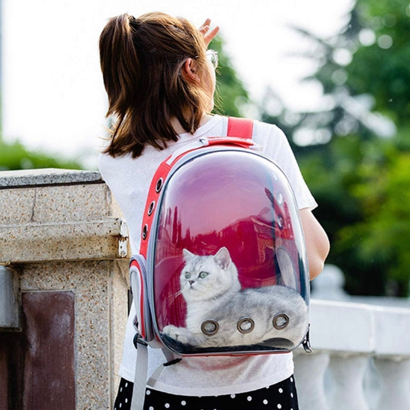 Backpack For Pets - PetYard