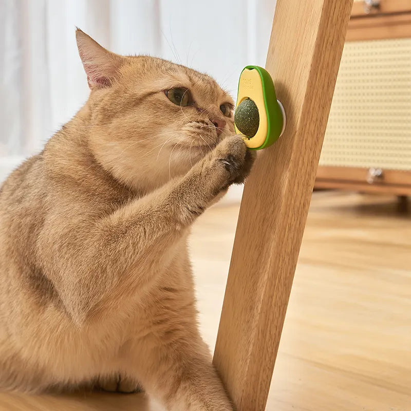 Wall CATNIP - Avocado Shape