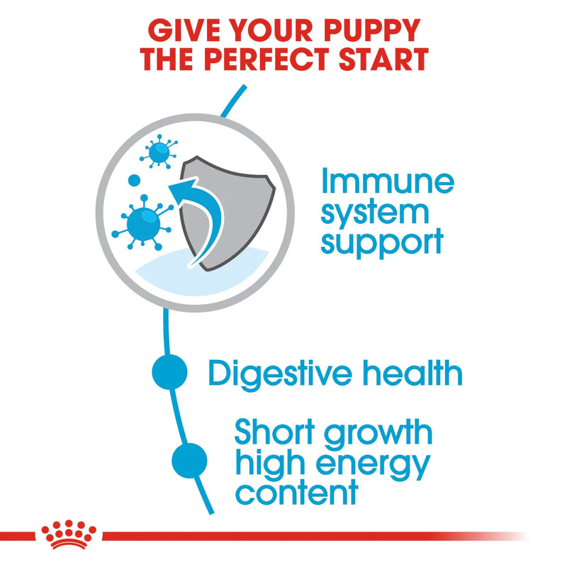 Royal Canin Medium Puppy (15KG) - Dry food for medium dogs - adult weight from 11 to 25 KG. from 2 to 12 months