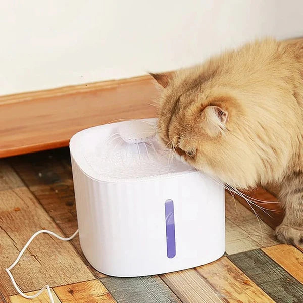 Naomi Automatic Water Fountain