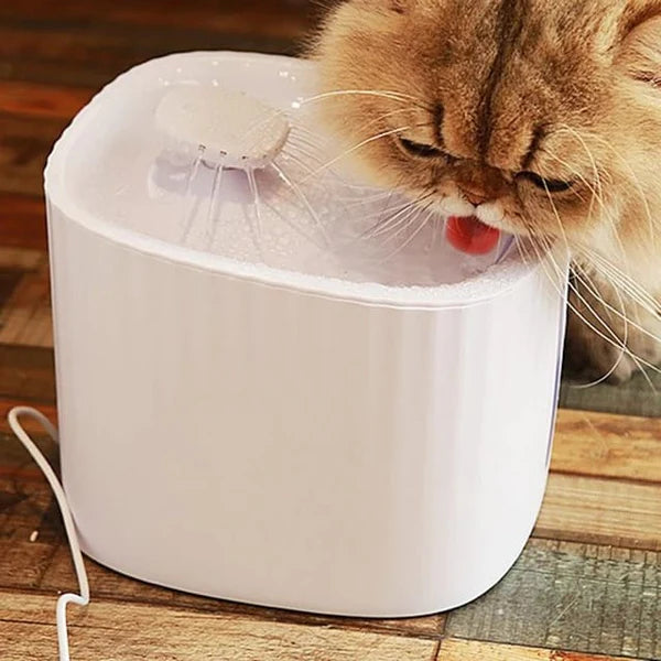 Naomi Automatic Water Fountain