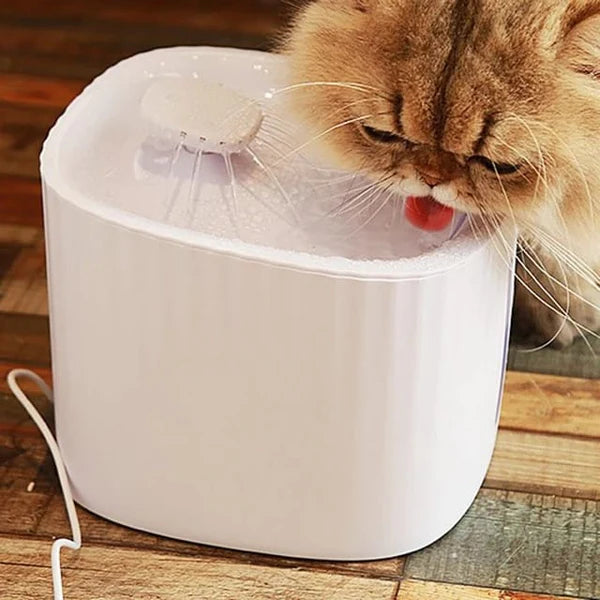 Naomi Automatic Water Feeder