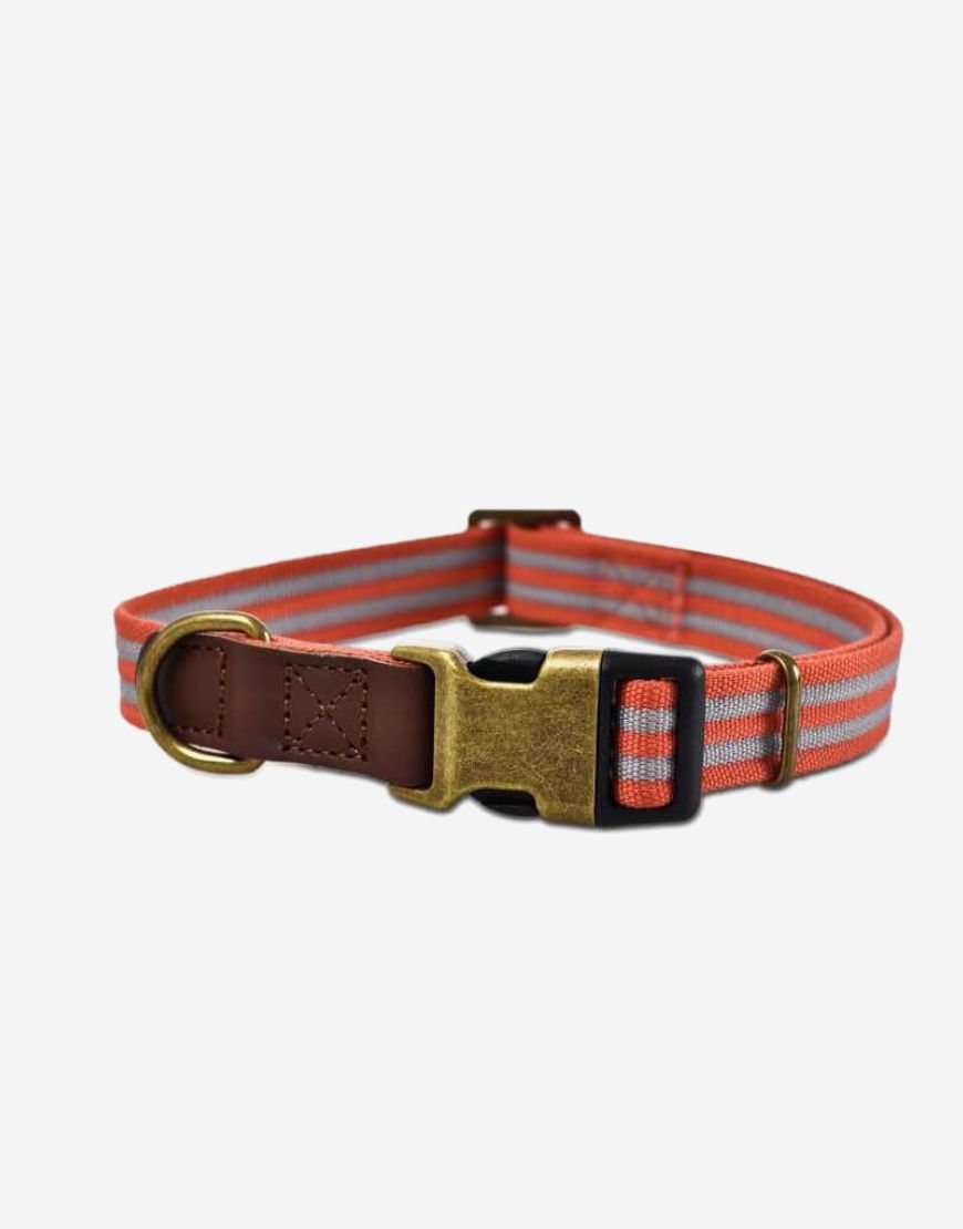 Naomi – YL109751 S Pet Collar