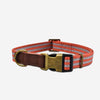 Naomi – YL109751 S Pet Collar