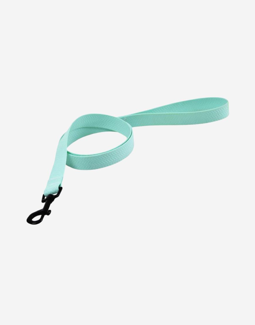 Naomi – YL109794 Pet leash
