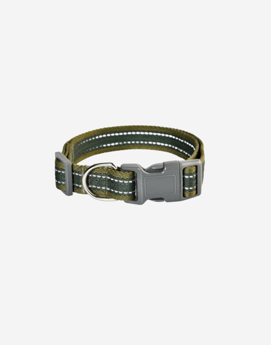Naomi – YL119453 S Pet Collar