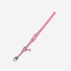 Naomi – YL24654 Pet Collar