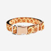 Naomi -YL107710 S Pet Collar