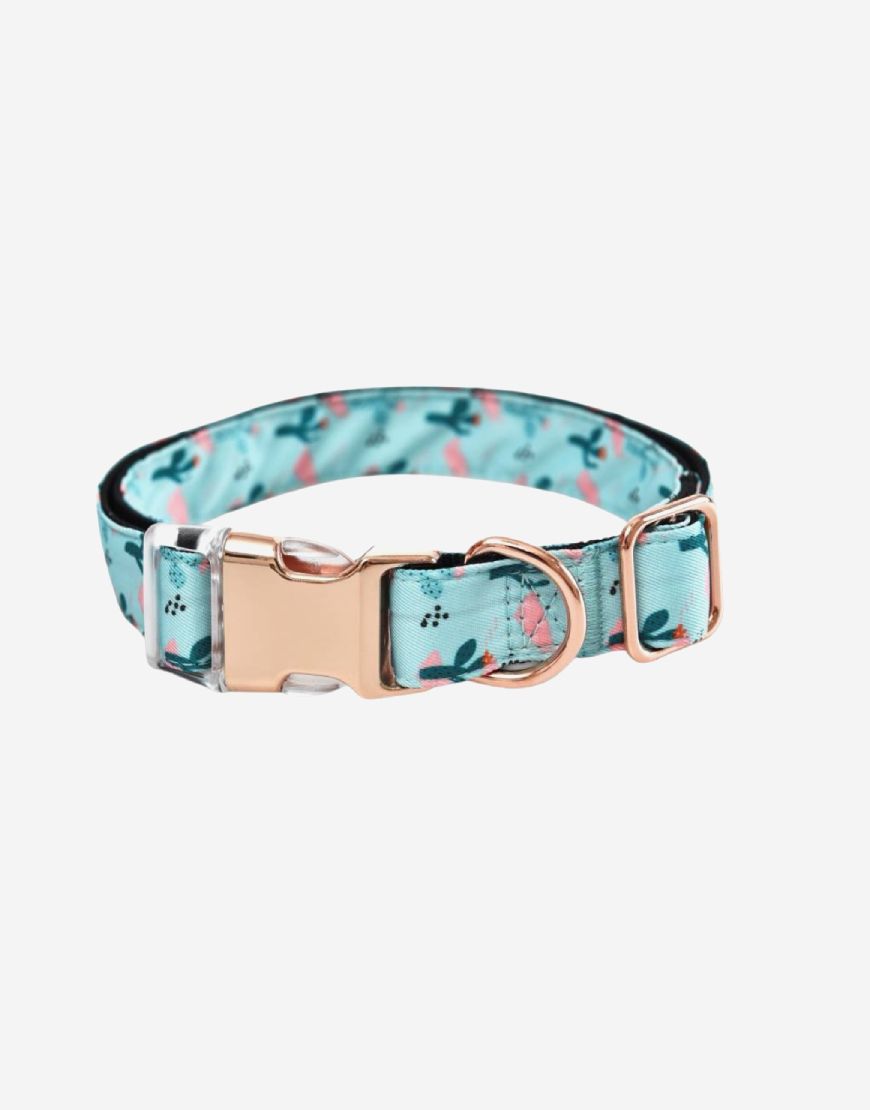 Naomi -YL107710 M Pet Collar