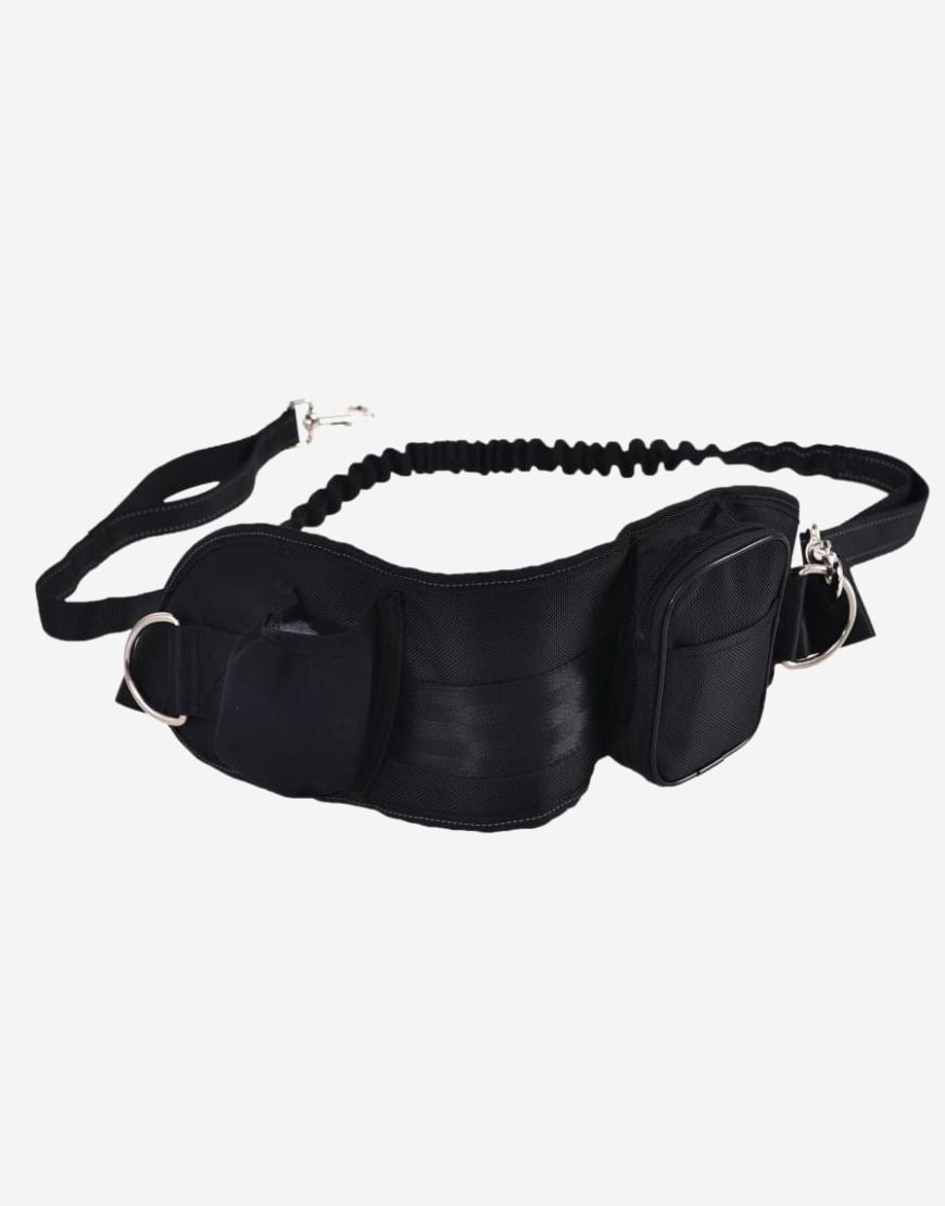 Naomi -YL109805 Pet Fanny Pack