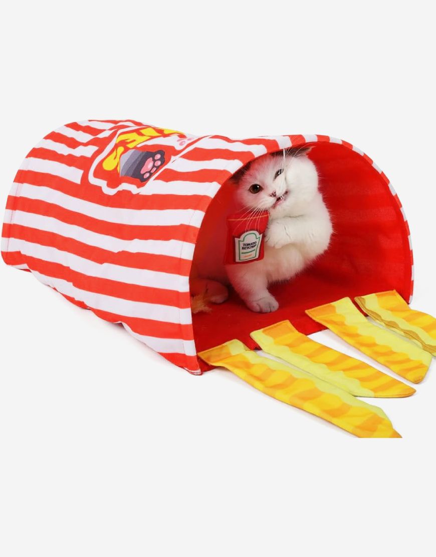 Naomi – YT119195 Cat tunnel