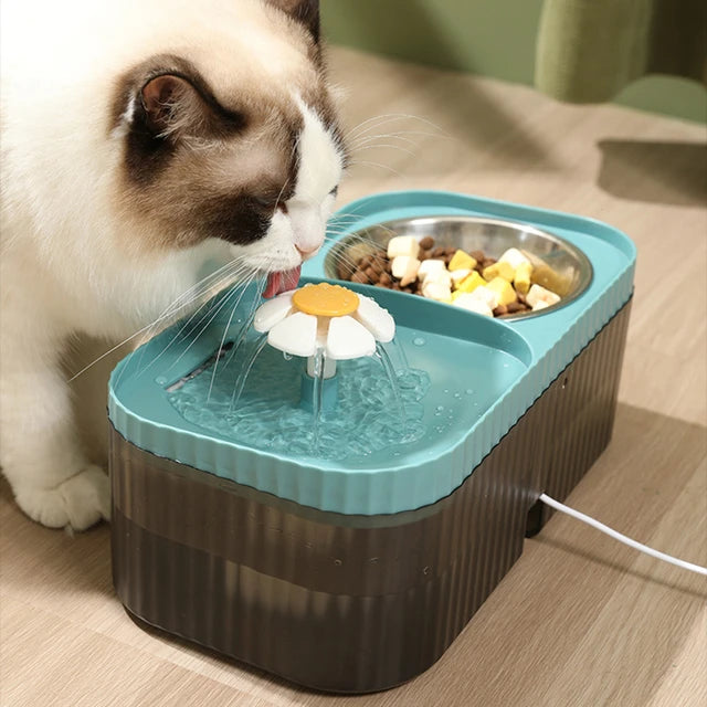 Pet Water Fountain and Food Bowl