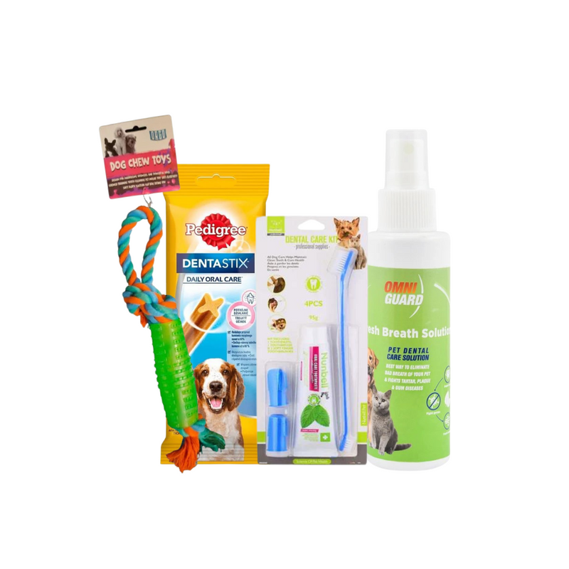 Dog Dental Care Bundle Deal! 🛍️