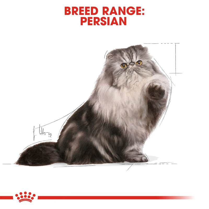 Royal Canin Persian Adult (85 gm\Pouch) - Wet food