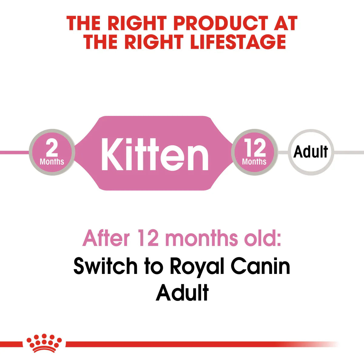 Royal Canin Kitten In Jelly (85gm\ Pouch) - Wet Food