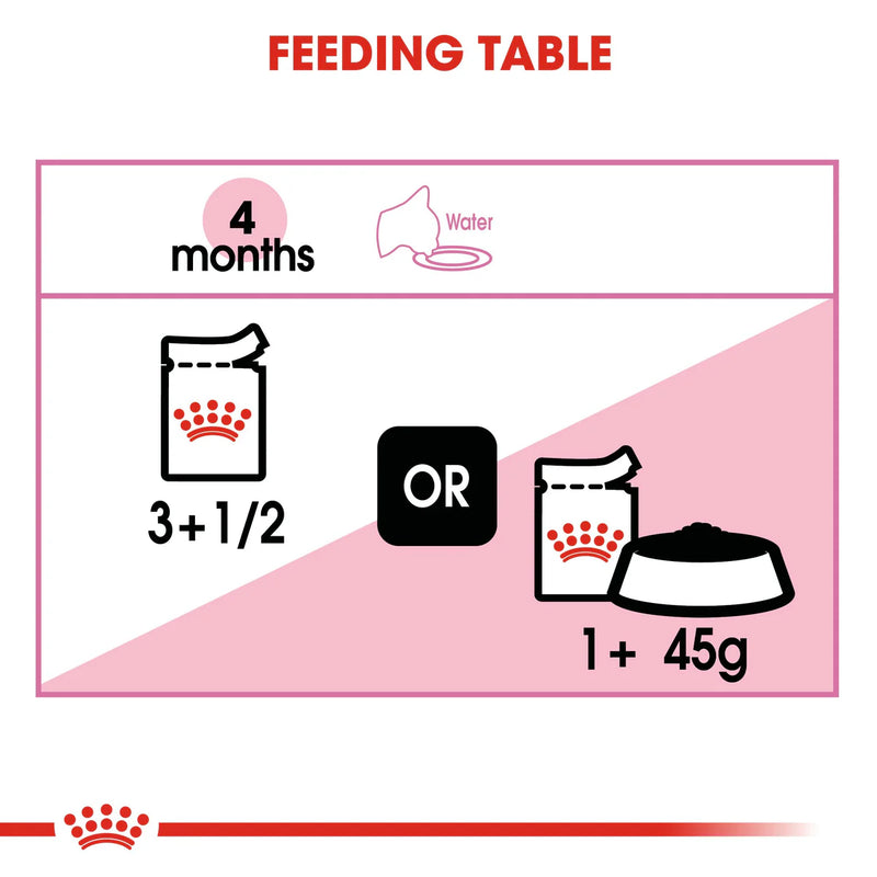 Royal Canin Kitten In Jelly (85gm\ Pouch) - Wet Food