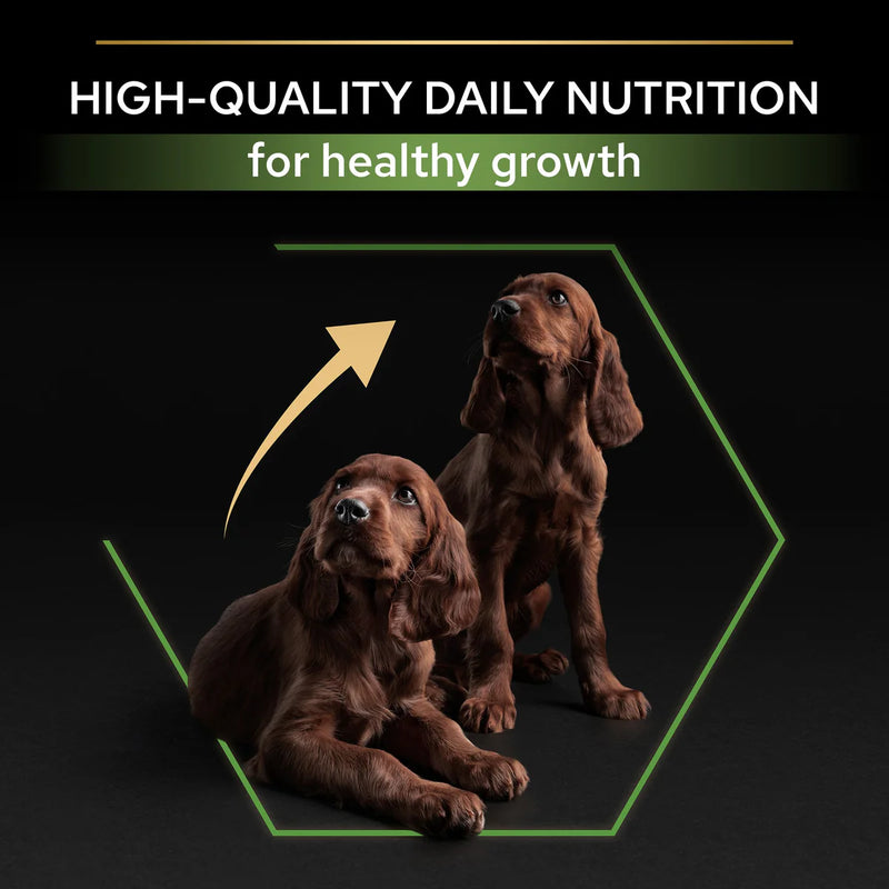 PURINA® Pro Plan® All Sizes Adult Light / Sterilised with OPTIWEIGHT®, Rich in Chicken Dry Dog Food - 3 KG