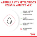 Royal Canin Babycat Milk 300g