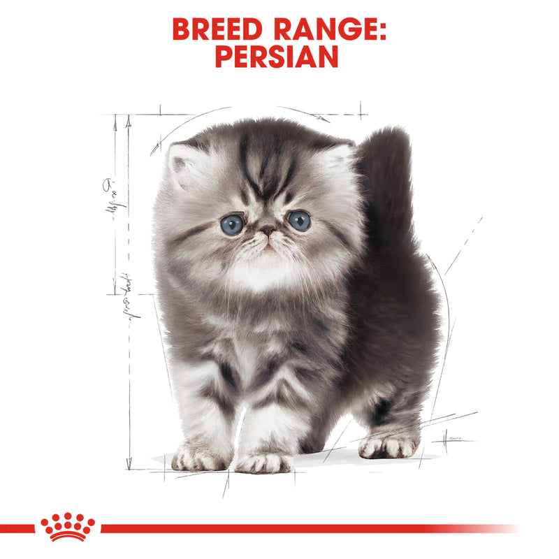 Royal Canin Persian Kitten (2KG) - PetYard