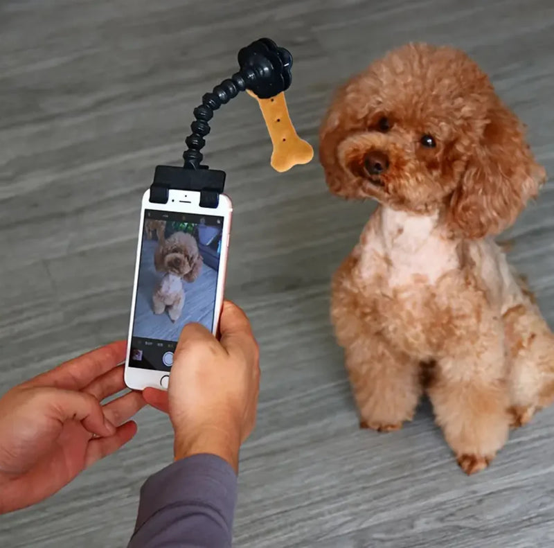 Selfie Stick for Pets