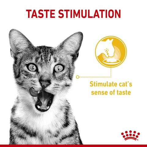 Royal Canin Sensory™ Taste Chunks in gravy (85G) - PetYard