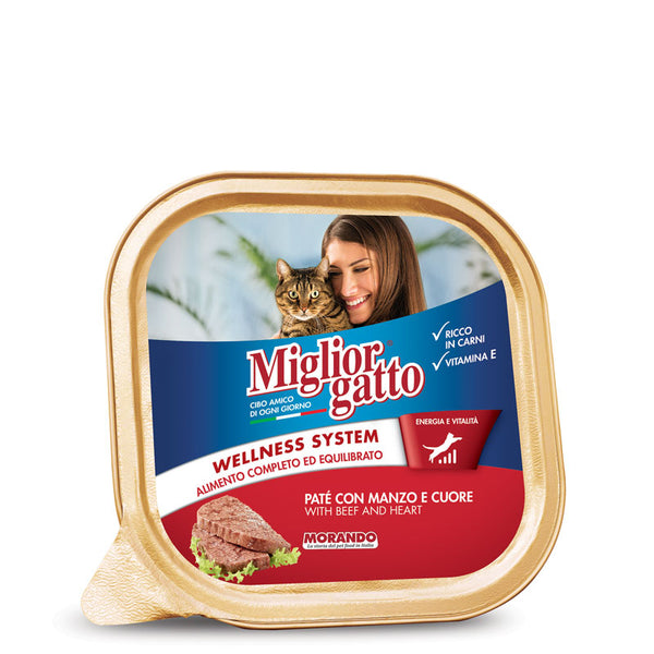 Miglior Gatto wet cat food Pate with beef plate 100g - PetYard