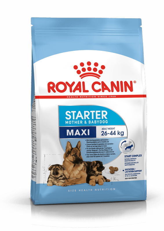 Royal Canin Maxi Starter Dry Mother & Baby Food