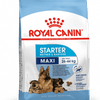Royal Canin Maxi Starter Dry Mother & Baby Food