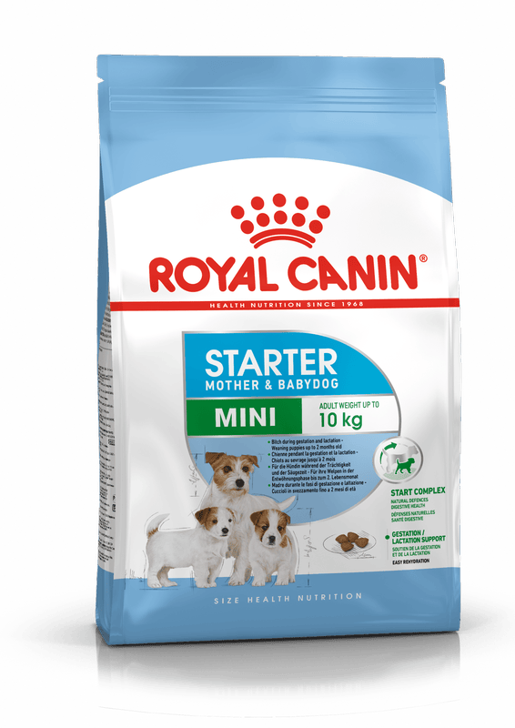 Royal Canin Mini Starter Puppy Dry Food - 1KG