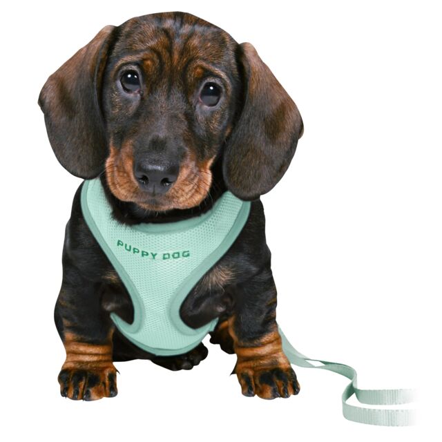 TRIXIE Junior Puppy Soft Harness - PetYard