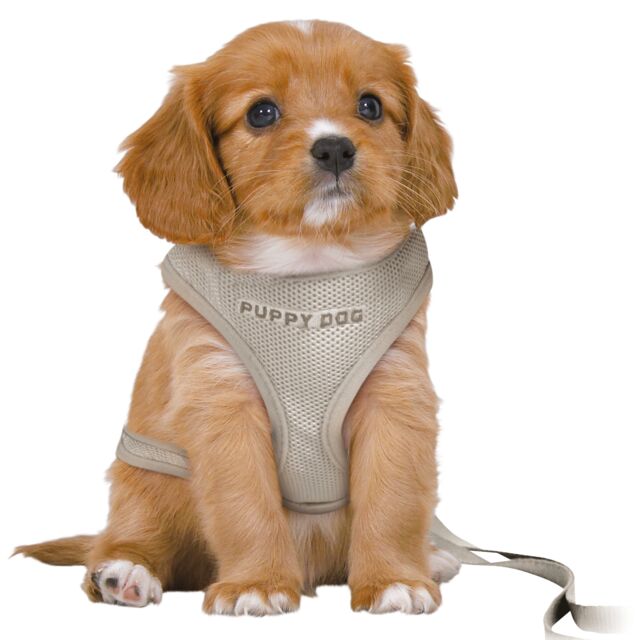 TRIXIE Junior Puppy Soft Harness - PetYard