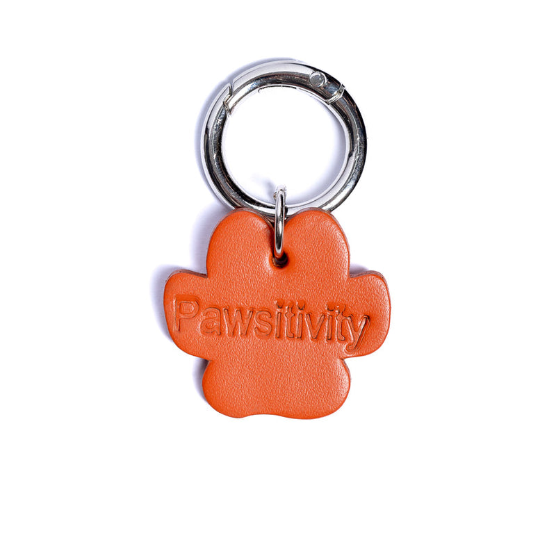 Pawsitivity - Collar Charm