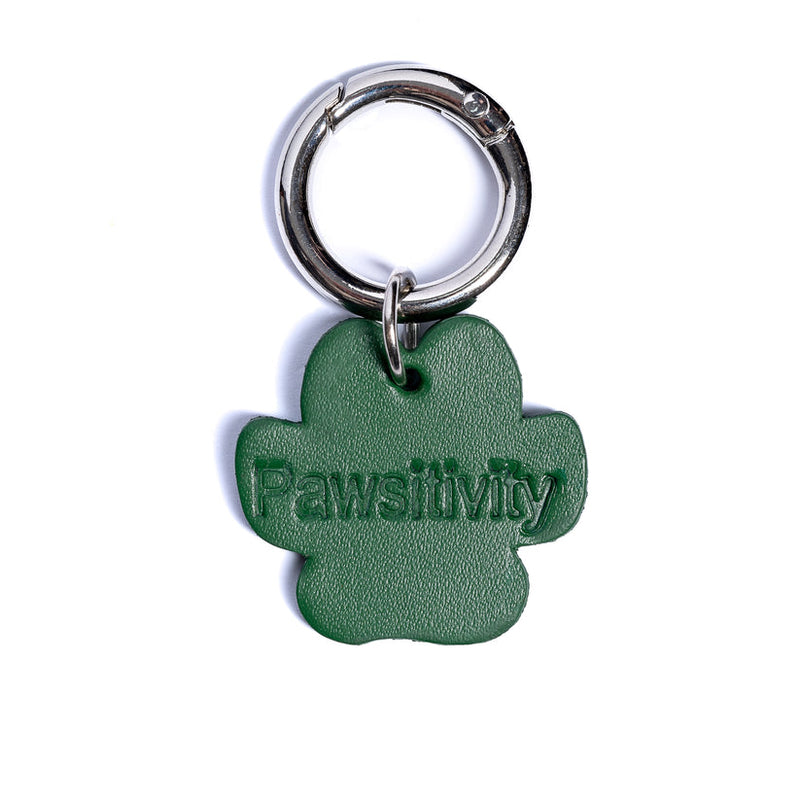 Pawsitivity - Collar Charm