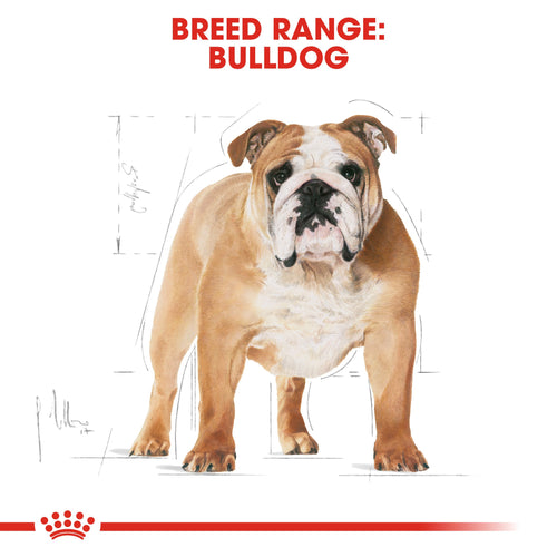 Royal Canin Bulldog Adult (3KG) - PetYard