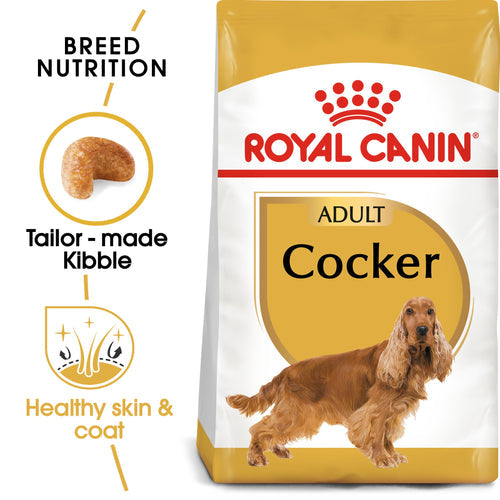 Royal Canin Cocker Dry Food For Adult (3 KG) - PetYard