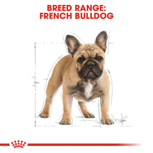 Royal Canin French Bulldog Adult (3 KG) - PetYard