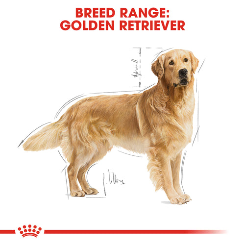 Royal Canin Golden Retriever Adult Dry Dog Food (3 KG) - PetYard