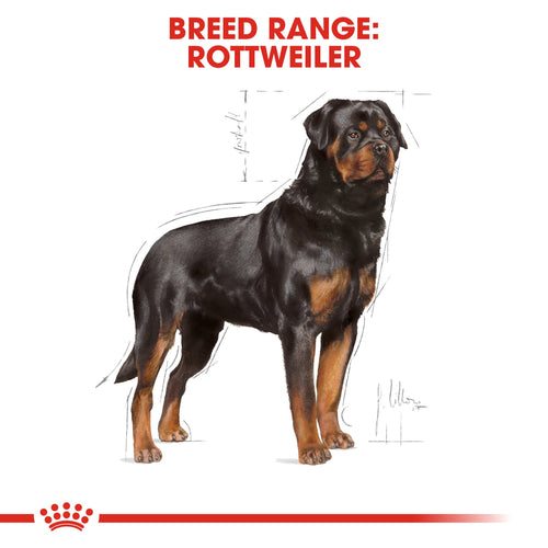 Royal Canin Rottweiler Adult (17 KG) - PetYard