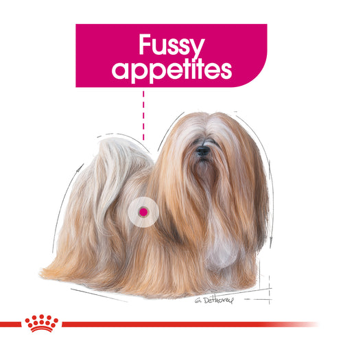 Royal Canin Mini Exigent (3 KG) - Dry food for small dogs up to 10 KG with fussy appetite. - PetYard