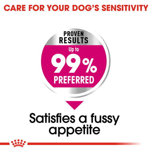 Royal Canin Mini Exigent (3 KG) - Dry food for small dogs up to 10 KG with fussy appetite. - PetYard