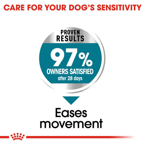 Royal Canin Maxi Joint Care (10 KG)- Dry Food  prone to joint sensitivity