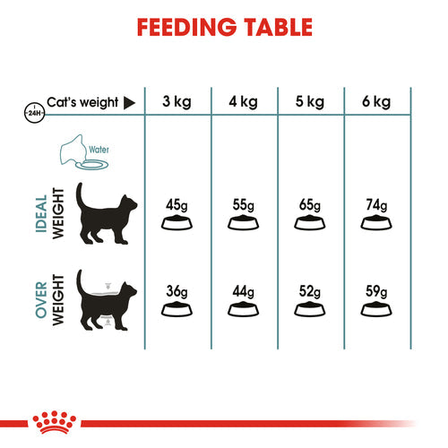 Royal Canin Hairball Care Dry Food (400G/2KG) - PetYard