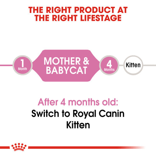 Royal Canin Mother & Babycat Dry Food (400G/2KG) - PetYard