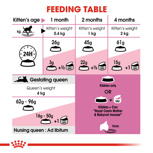 Royal Canin Mother & Babycat Dry Food (400G/2KG) - PetYard