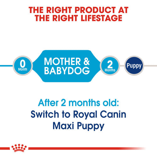 Royal Canin Maxi Starter Dry Mother & Baby Food (4KG/15KG) - PetYard