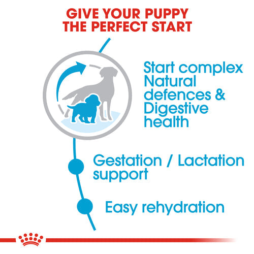 Royal Canin Medium Starter Mother and Babydog (4kg) - Mother during gestation and lactation - weaning puppies up to 2 months - PetYard