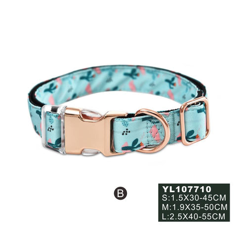 Naomi Pet Collar - PetYard