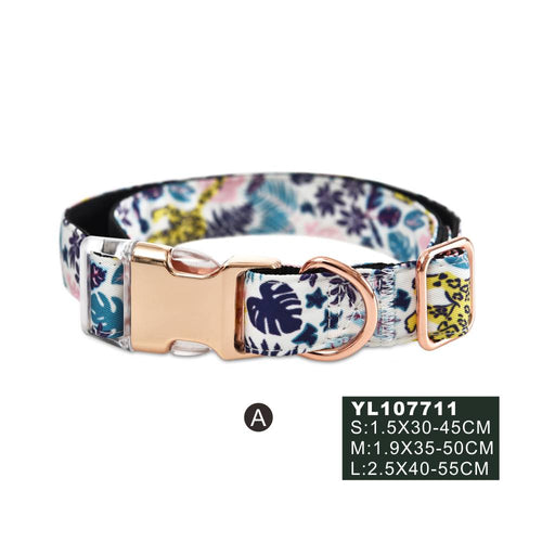 Naomi Pet Collar - PetYard